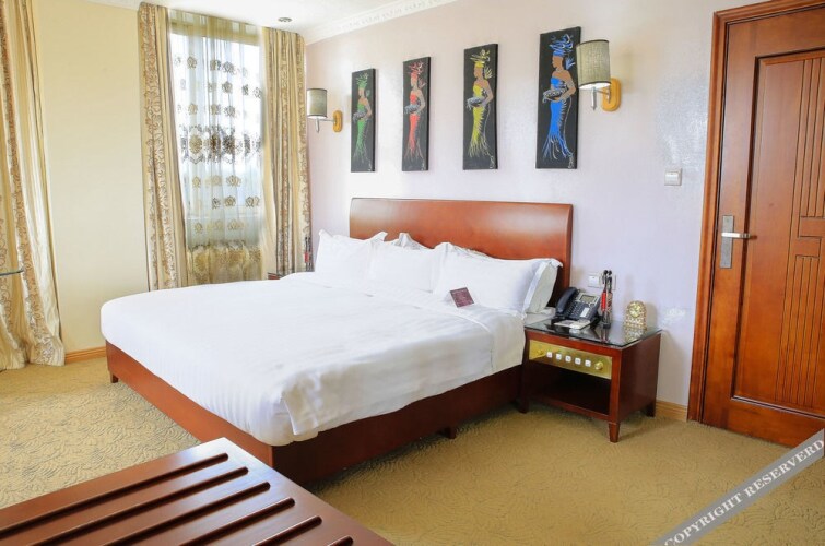 Le Panoramique Hotel by CelexonOver view