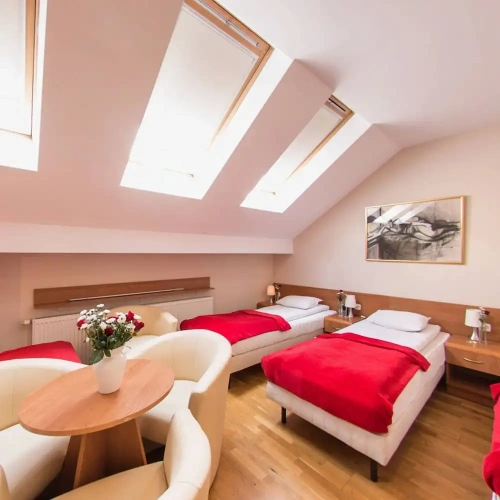 Standard Double room