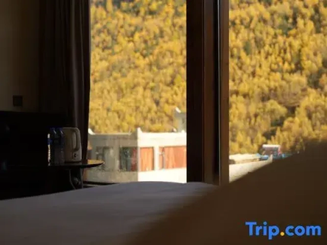 Standard room with view