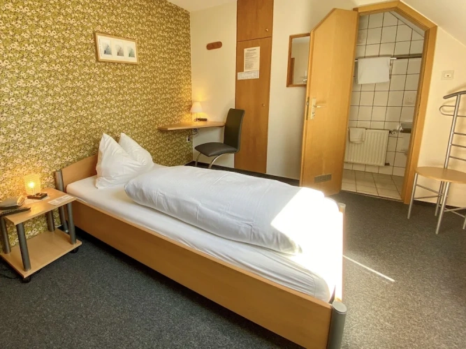 Standard Single room with land view