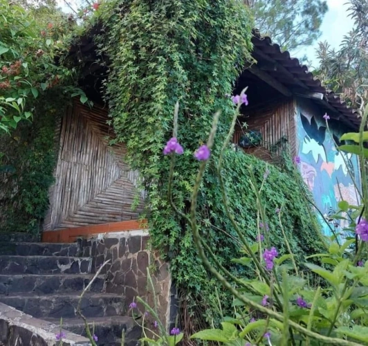 1 Bedroom Bungalow with balcony and with garden view