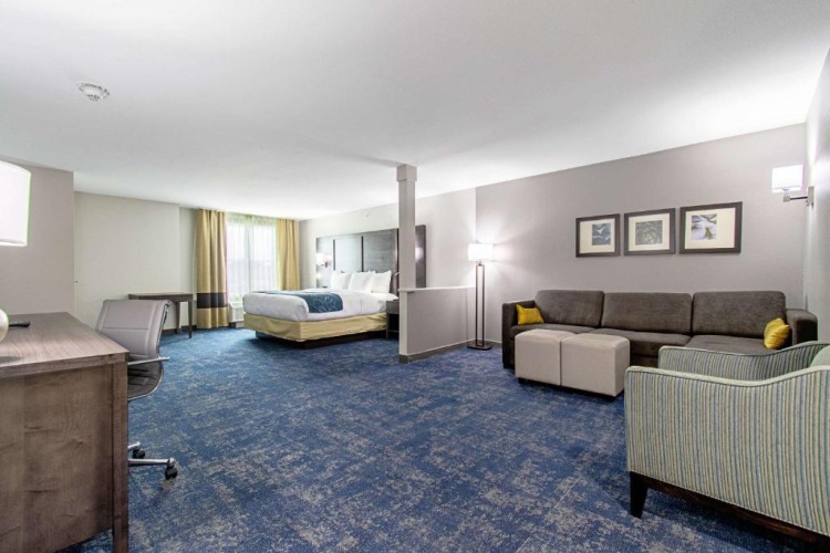 Suite