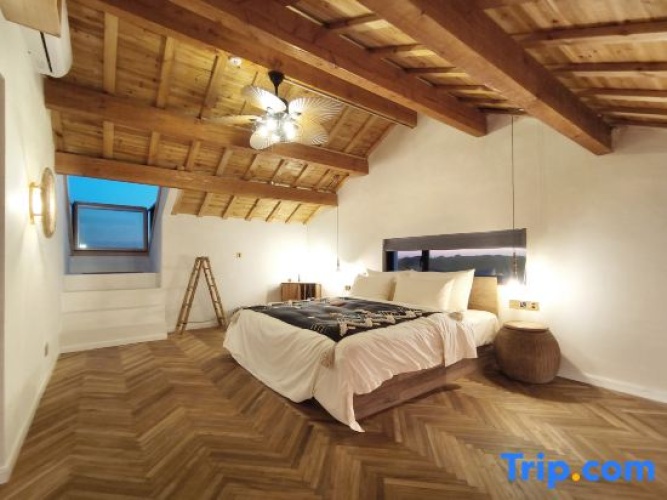 Standard Twin room with view