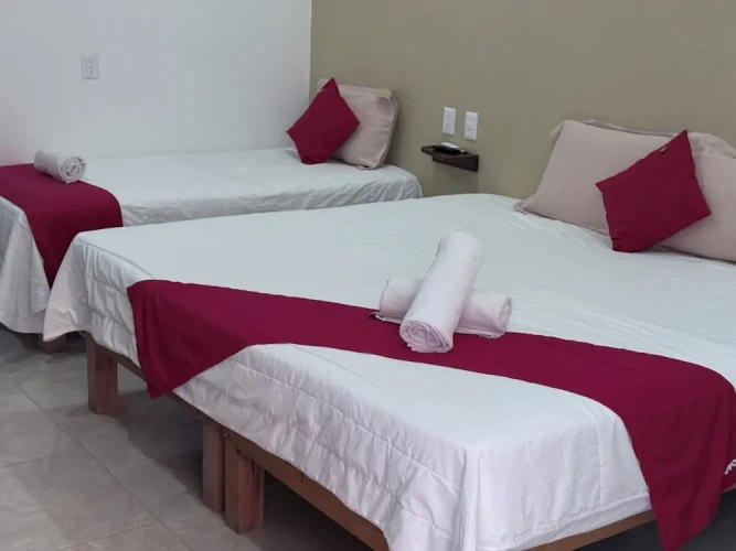 1 Bedroom Suite