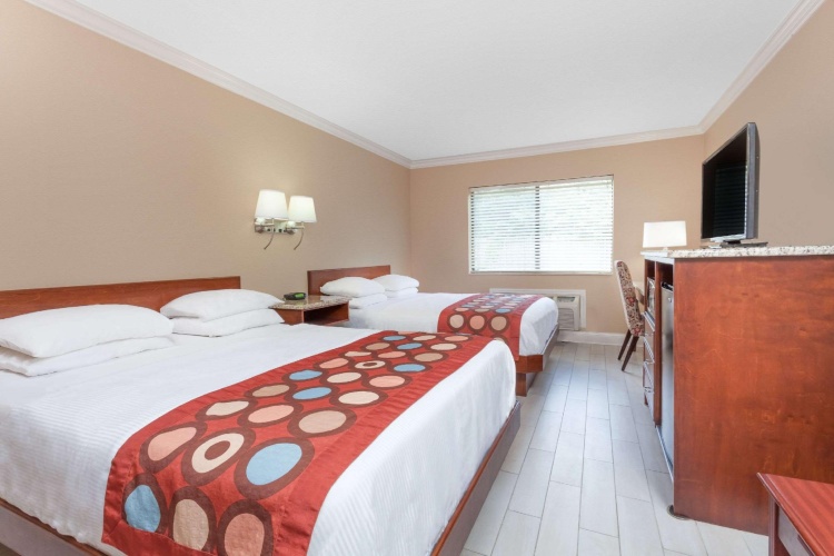 Standard Quadruple room
