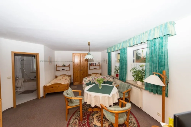 Basement Apartment with balcony