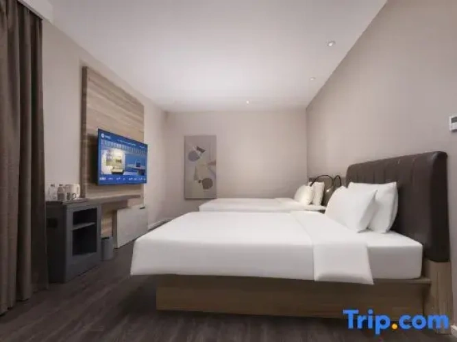 Superior Twin room with street view