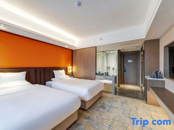 Superior Twin room with city view