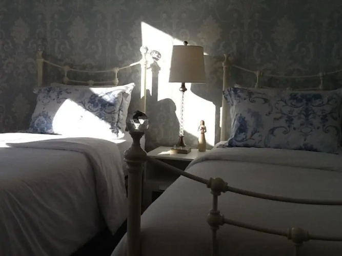 Superior Twin room with garden view