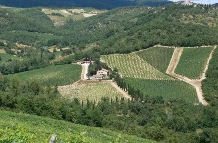 Le Miccine