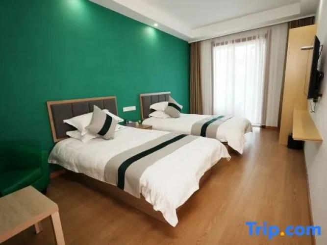 Standard Twin room with mountain view