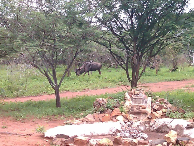 Le Roux Lodge