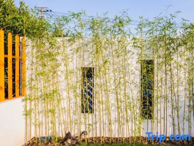 Manshu Garden Hostel