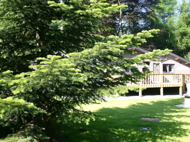 Chalet