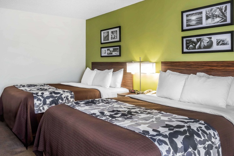 Standard Quadruple room