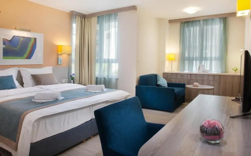 Standard Double room with mountain view