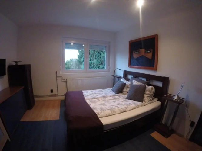 Standard Double room with garden view