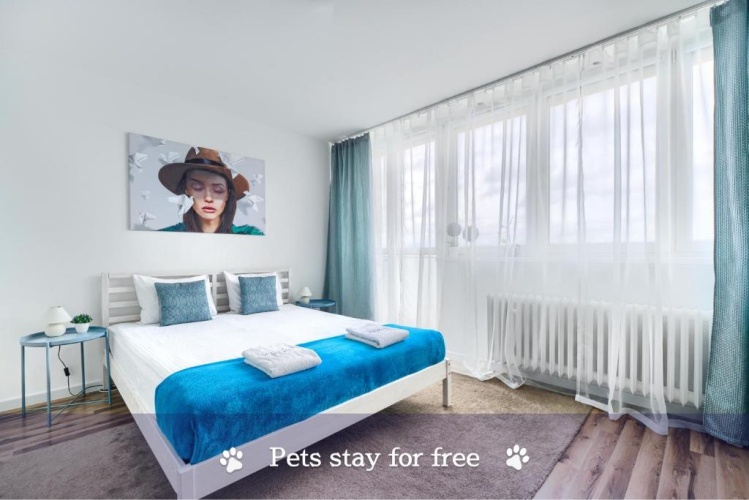 1 Bedroom Apartment
