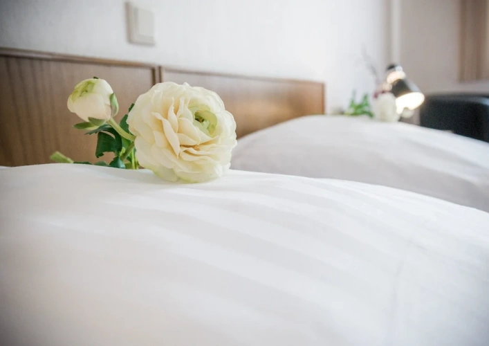 Classic Single room