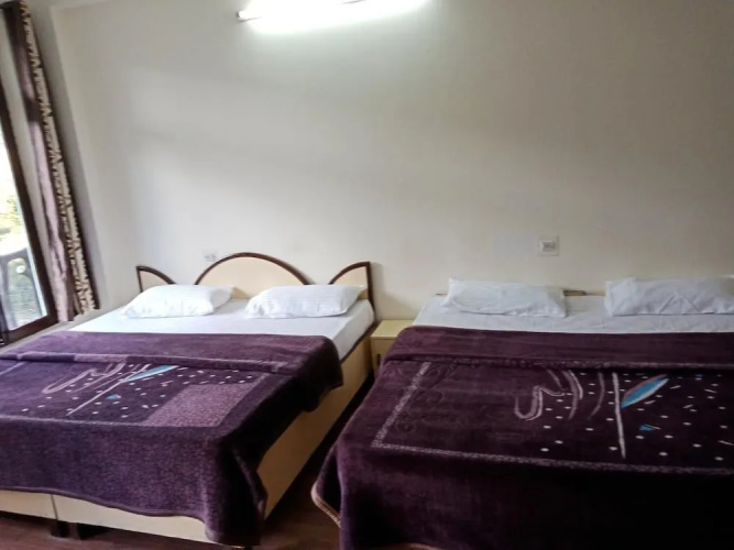 Hotel Pine spring