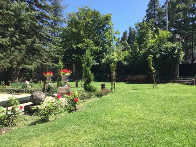 Superior Villa