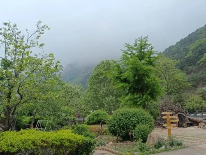 Outside