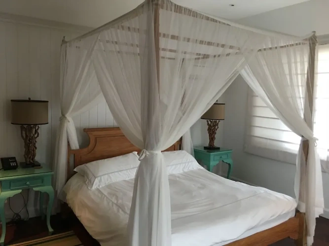 1 Bedroom Deluxe room with ocean view