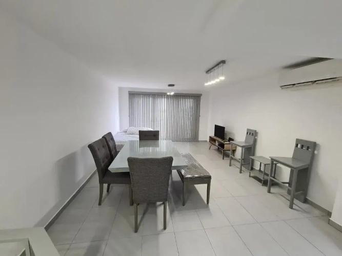 Duplex Apartment