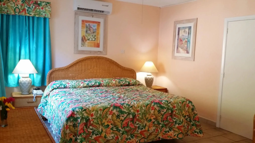 1 Bedroom Suite