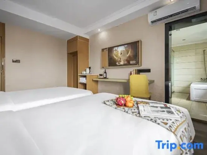 Standard Double room with city view