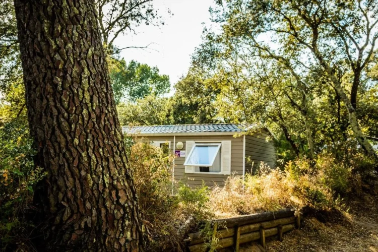 Family Cottage