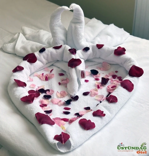 Comfort Twin room