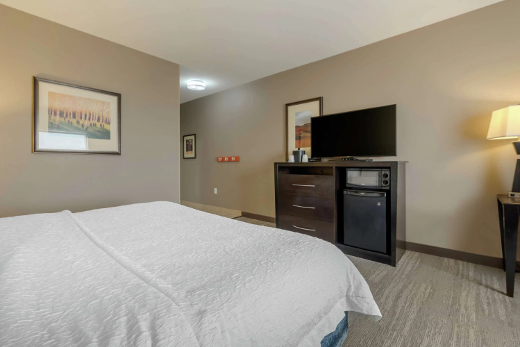 Hampton Inn Alamosa, CO