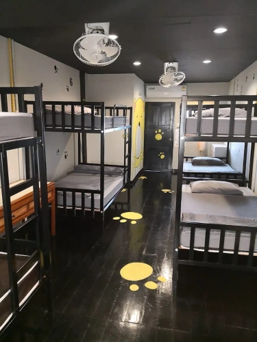 Bed in Dorm