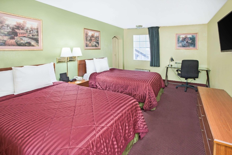 1 Bedroom Quadruple Suite