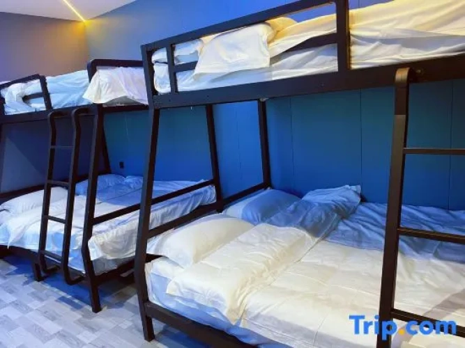 Bed in Dorm