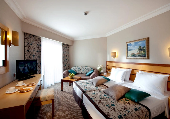 Standard Twin room with balcony and with view