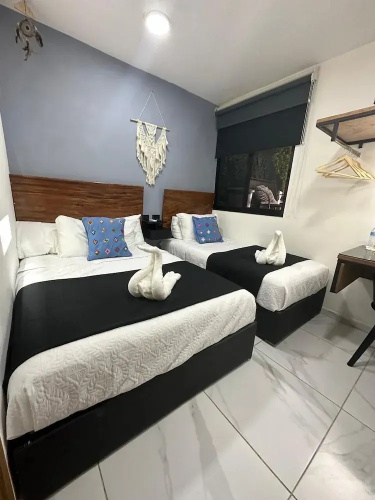Hotel Palenque Premier