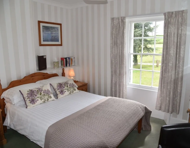 Standard Double room with courtyard view