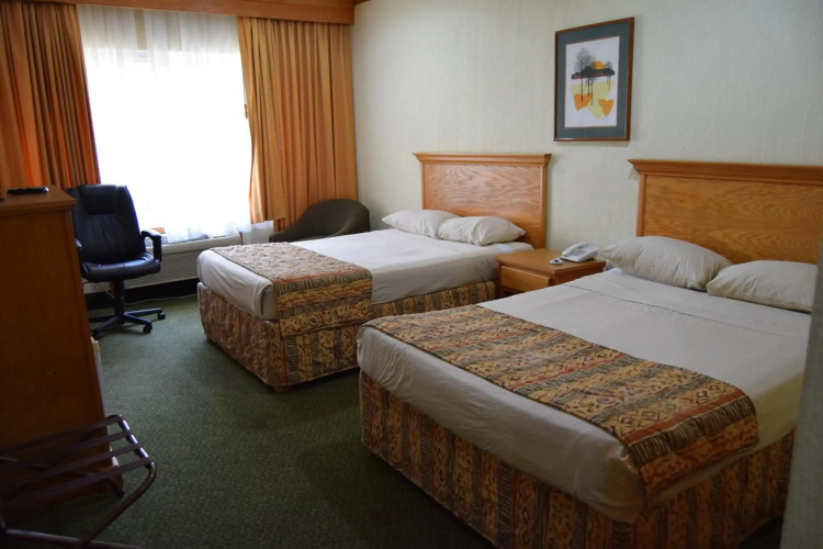 Hotel Sicomoro