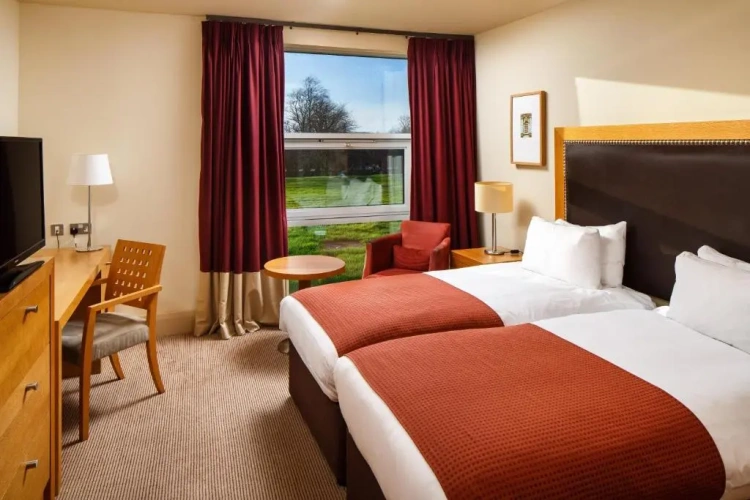 Standard Twin room with garden view