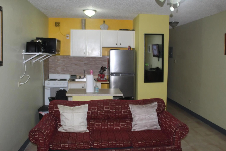 Comfy, Central & Elegant Studio New Kingston