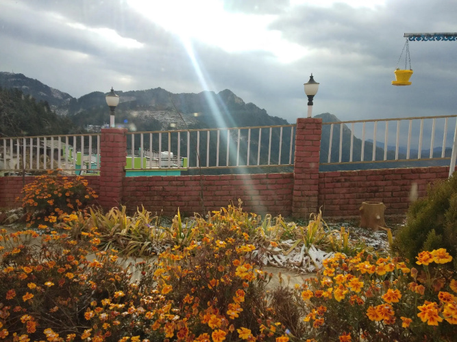 Viewtoria resorts