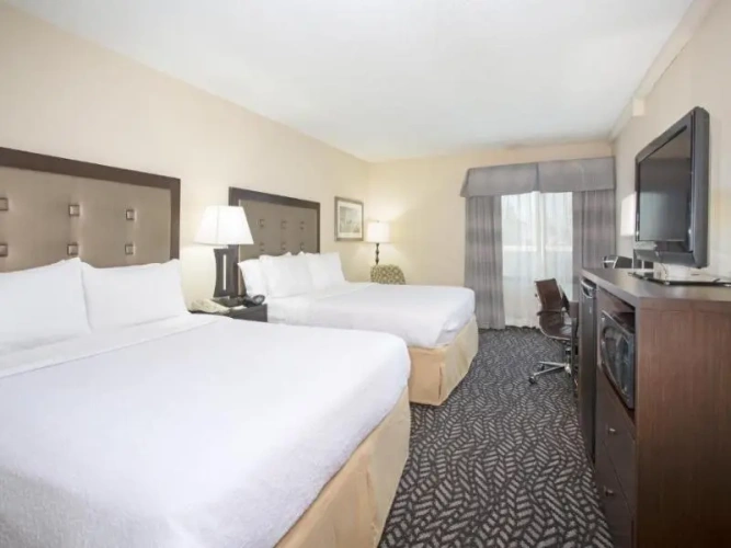 Executive Quadruple room