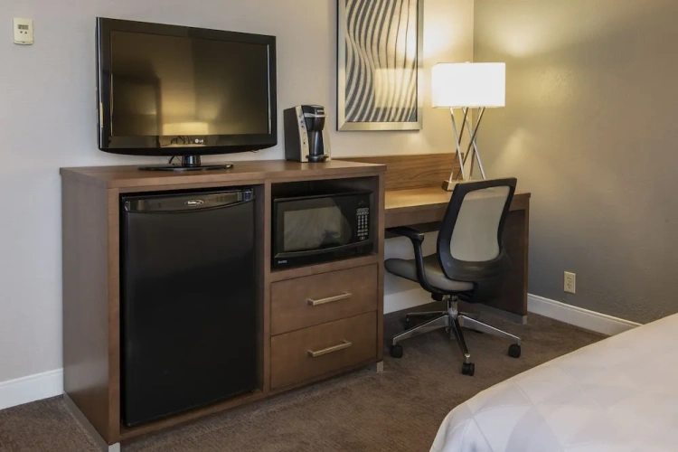 1 Bedroom Double Suite with city view