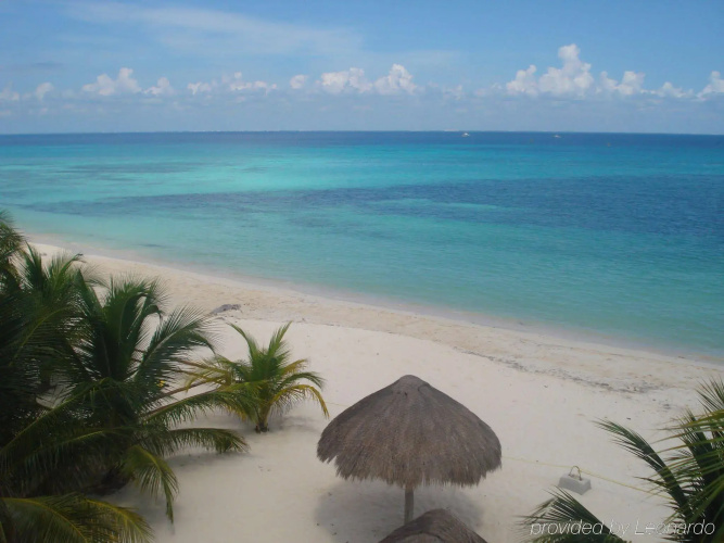 Beachouse Dive Hostel Cozumel