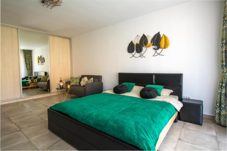1 Bedroom Apartment
