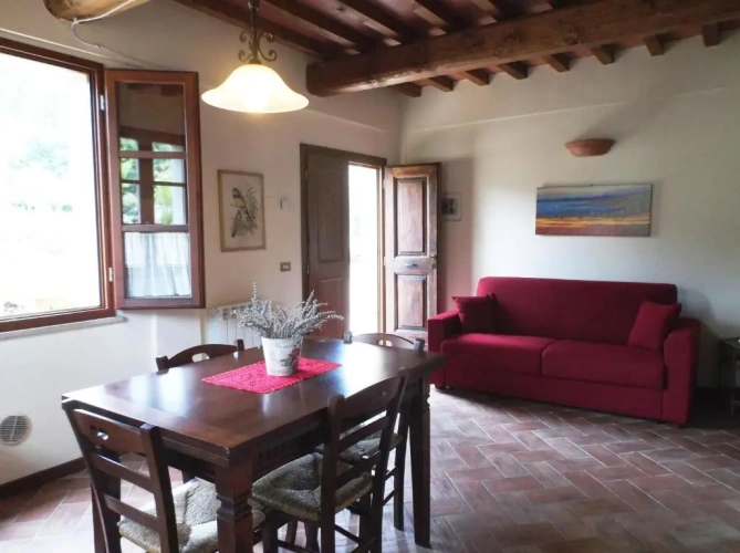 1 Bedroom Basement Apartment