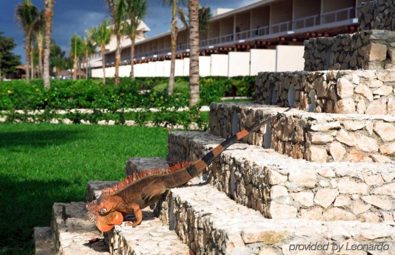 Imagen de Intercontinental Presidente Cozumel Resort Spa, An Ihg Hotel