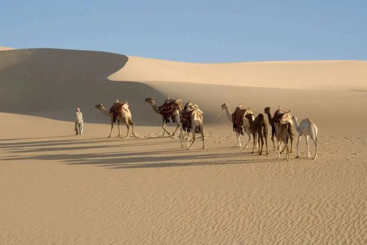 Taziry Ecovillages Siwa